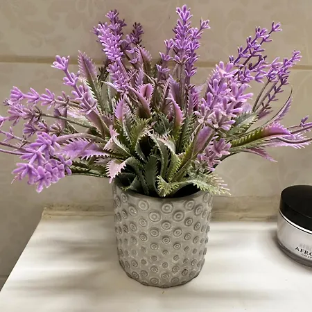 Apartment Zara Appartement